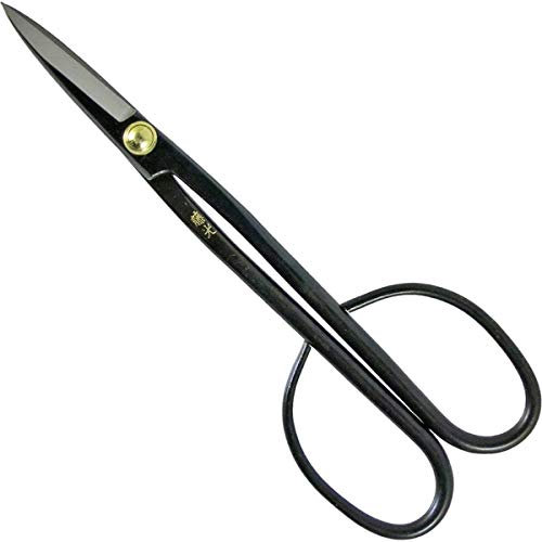 Fujikou Ciseaux à bonsaï japonais fabriqués au Japon (Twig 21 cm)