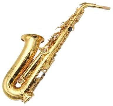Professionell Saxofon Altsaxofon I Mässing Eb instrument Med Fodral