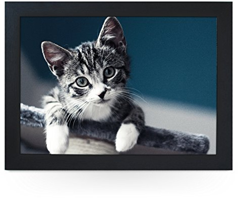 Portable Lap Desk Tray (Grey Kitten) Handmade Wooden Frame, Beanbag Cushioned Bottom | Computers, Laptops, Meals, Food | L0031 Black