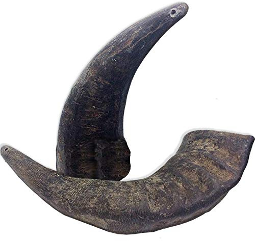 QT Dog Buffalo Hornz - Medium (Pack of 2) | Long-Lasting 100% All-Natural Dog Chew | Ethically Sources Protein-Packed & Low Fat Dental Chews | Ideal for All Breeds & Aggressive Chewers |