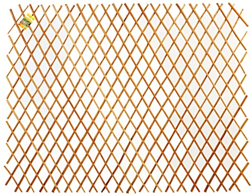 Backyard X-Scapes Expandable Peeled Carbonized Willow Wood Trellis for Climbing Plants Lattice Panel Fence Support 36 in H x 72 in L