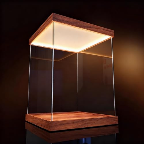 Vitrina Expositora Cajas Altas de Acrílico Transparente para Exhibición, Vitrina de Plástico con Luz Superior, Funda Antipolvo para Libros Antiguos, Relojes y Modelos(20x20x50cm(8x8x20))