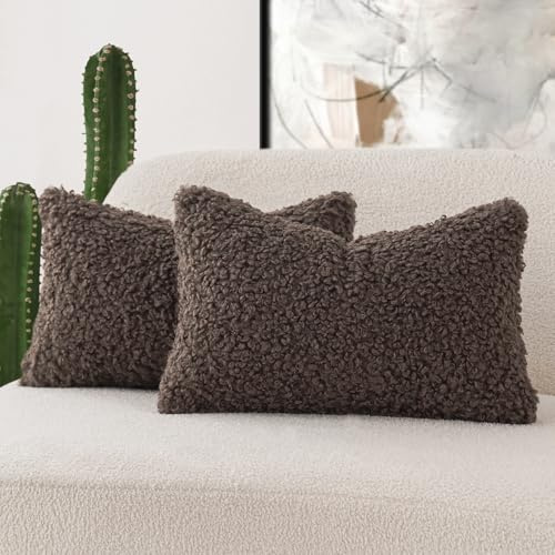 Foindtower Juego de 2 Fundas de Almohada de Lana rizada con Textura de bouclé, Almohada Lumbar de Piel sintética de Oveja para sofá, Dormitorio o automóvil, 12 x 20 Pulgadas, Color Chocolate