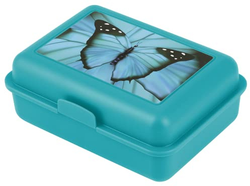 Baagl Boîte à goûter pour enfants avec compartiments - Boîte à goûter avec séparateur pour l'école et le jardin d'enfants - Lunchbox avec compartiments pour les filles (Papillon)