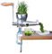 Weizengras-Entsafter, Edelstahl, Manueller Weizengras-Entsafter, Obstextraktor, Hand-Gemüsepresse für Trauben, Sellerie, Grünkohl, Spinat, Petersilie