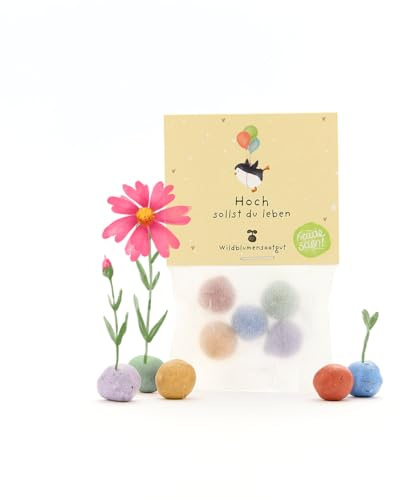 Regalino sostenibile per il compleanno: 5 biglie di fiori colorate | Pallottole di semi dai colori vivaci con semi di fiori selvatici | Idea regalo e fantastica sorpresa per il compleanno | 100%