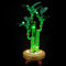 YEABRICKS LED Light for 10344 The Botanical Collection Lucky Bamboo Building Blocks Model (Building Set NOT Included)
