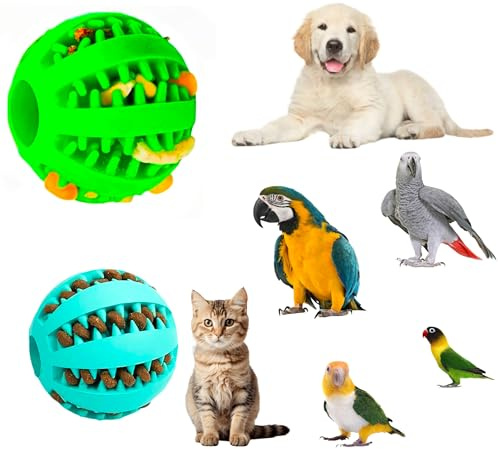 Avelandia jungle 2 und Pelota Dentada para Loros, Juego de alimentación para Perros, Gatos y Otras Mascotas, Juguete agaporni, NINFA, Accesorio Loro yaco, Bola interactiva Guacamayo, 5 y 7cm. (S)