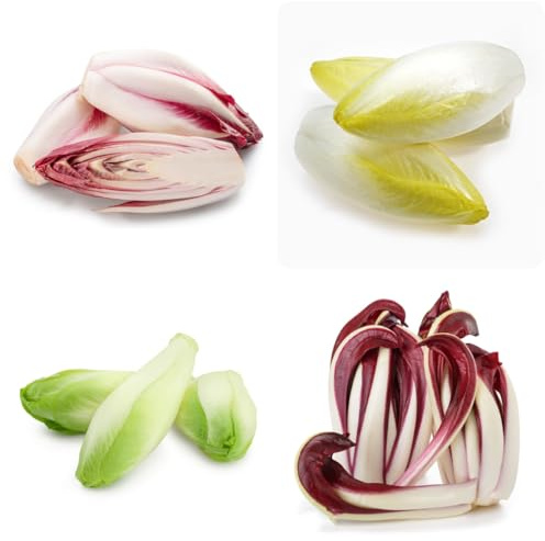 semi di cicoria perenni, balcone in serra, orto da balcone insalata di radicchio, giardino, biologici da orto, 85pcs