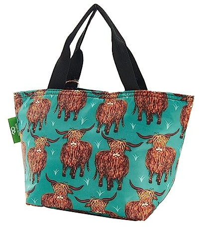 ECO CHIC leichte faltbare Lunchtasche | Wasserabweisende, isolierte Kühltasche für Arbeit/Picknicks/Wandern/Camping-Grillabende (Hochlandkuh Blaugrüne)
