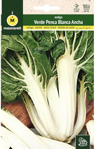 Mascarell Semillas, ACELGA, Semillas Huerto, ACELGA VERDE PENCA BLANCA ANCHA, Crea tu Propio Huerto Urbano y Cultivo en Casa, Plantas Hortícolas, 10 Gramos