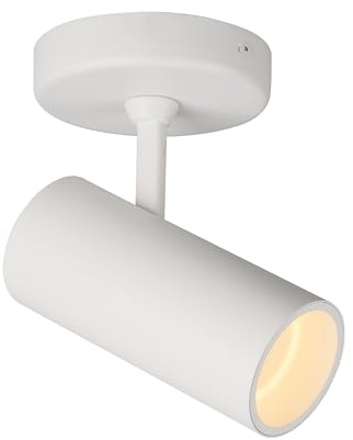 Aisilan LED Modern Directional Dimmable Spotlight Adjustable 90 Degrees Anti Glare Ceiling Spot Light for Indoor Foyer Living Room Warm White White 9W CREE COB CRI 97