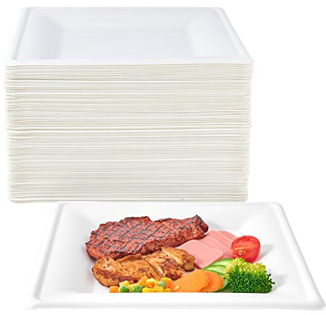 ECOLipak 150 Piecs Compostable Square Paper Plates, 10 inch, White
