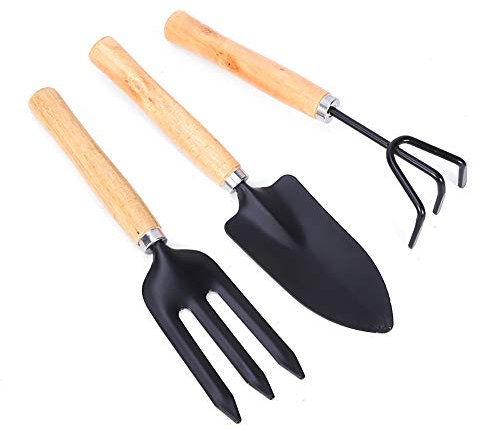 Mini Attrezzi da Giardinaggio Mini Set per Piantare Nero Piccola Rastrello Pala e Vanga Manici—3 Pezzi