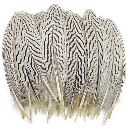 10 bijoux for la fabrication de plumes de faisan argentées décoratives, plumes blanches, accessoires d'artisanat de mariage