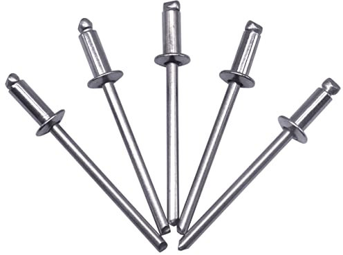 SKIR'CO Remaches de acero inoxidable (100 piezas) de 3,2 x 10 mm, cabeza de cúpula, remaches de pop, DIN 7337, remache A2