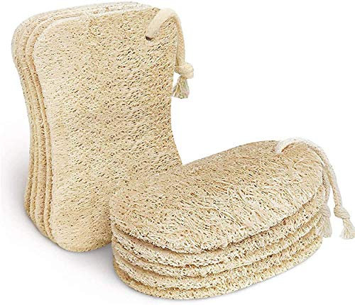 AiYoYo 10 Stück Natur Luffa Schwamm mit Kordel Luffa Schwämme Küche Luffa Schwammwäscher Topfreiniger Waschbare Plastikfreie Biologisch Abbaubar Reinigung Schwamm für Küche(Hell Farbe)