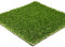 Pack of One Porch Potty Replacement Artificial Grass Standard Size Turf Liner Mat Tray for Poo and Pee. Portable Toilet for House Training Puppy and Dog. Machine Washable Indoor or Outdoor Garden use.
