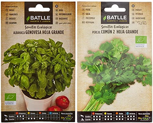 Albahaca Genovesa hoja grande – ECO & Perejil Común 2 (hoja grande) - ECO