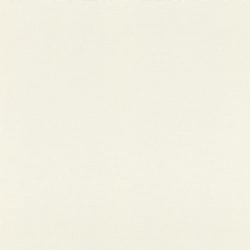 Rasch Symphony 690705 Papier peint non tissé uni Blanc 10,05 m x 0,53 m