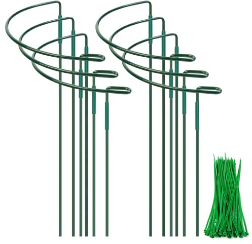 Lot de 6 supports pour plantes - 25 x 60 cm - Anneaux ronds en métal semi-circulaire - Pour légumes, pivoines, roses, hortensias, plantes en pot