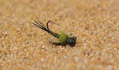 Tungsten Two Bit Hooker Olive Jig Head Fly Euro Nymph Tied on Hanak Hooks - 6ct Pack (Hook #16)