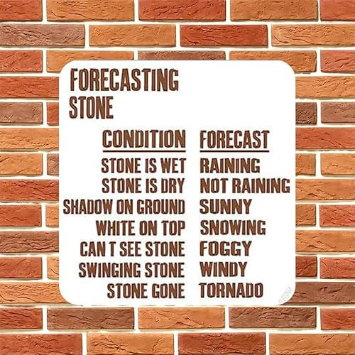 Plaque de rue murale en aluminium avec prévisions météorologiques - Panneau de décoration de cour - 20,3 x 20,3 cm