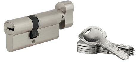 THIRARD - Cylindre de serrure à bouton Tiger 6, 40Bx30mm, nickel, anti-arrachement, anti-perçage, 5 clés