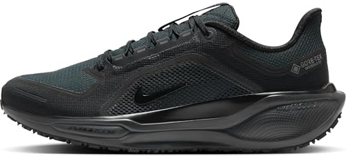 Nike Mens Pegasus 41 Gore-TEX Black/Black/Anthracite 11 Medium