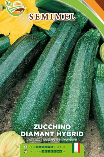 Zucchino Diamant Hybrid - Semi di Zucchino Vigoroso, Frutti Medi e Verdi, Ciclo Variabile 50-80 Giorni, Semina da Febbraio a Luglio 1 confezione