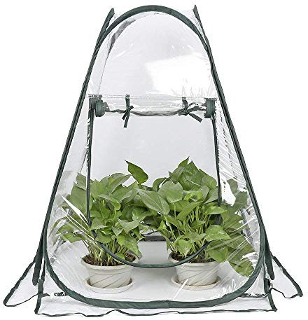 Hydrogarden Mini Serre Pop Up - Petite Tente d'hivernage pour Plantes - Pot de Fleurs - Mini Serre - Protection hivernale pour Plantes (70 x 70 x 80 cm)