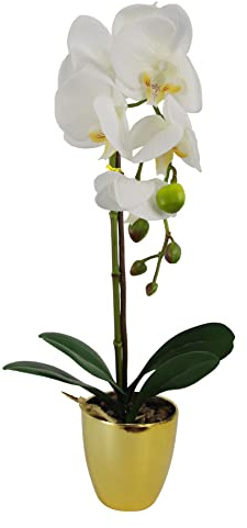 Leaf Design UK Realistic Artificial Orchid Flower Display in Pot