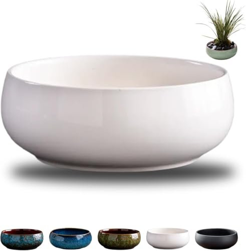 Fioriera a forma di loto, ciotola in ceramica per fiori di loto, ciotole retrò per piantare in acqua all'interno, vasi di loto per piante acquatiche, applicabile a piante grasse idroponiche (bianco)