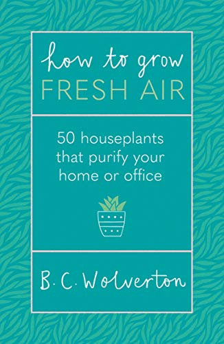 How To Grow Fresh Air: 50 Houseplants To Purify Your Home Or Office