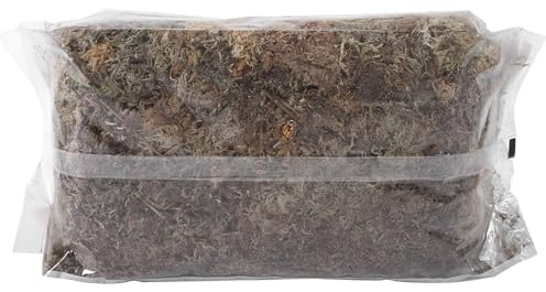 Irfora Mousse de Sphaigne à Fibres Longues, Engrais Organique de Nutrition Hydratante de Jardin de 6 L pour Orchidée Phalaenopsis, Elle Contient Une Matière Organique Riche, Une