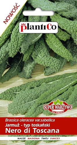 PlantiCo Palm kale Nero di Toscana semillas 1g Super verdura rica en nutrientes Rica en vitaminas y minerales