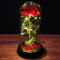 Beauty and the Beast Rose Birthday Gifts for Women Enchanted Rose Gifts for Women Eternal Flowers and Led Light in Glass Dome Gifts for Mum Girlfriend Sister Grandma Anniversary Valentines Christmas