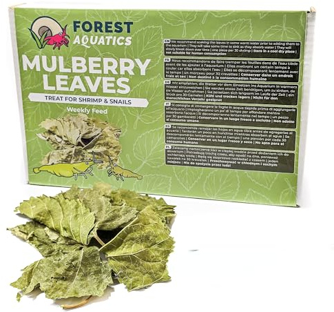 Mulberry Leaves Food for Shrimp Snails Plecos Nerites Ramshorns 20g