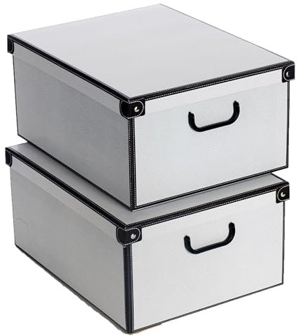 Lavatelli Set 2 Pezzi Scatole armadio in cartone, organizer per vestiti e biancheria, per cambio stagione, Muschio Bianco 49x40xh24 cm