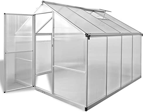 HOVOTHY Serra con fondazione rinforzata, in alluminio, 6,05 m², 242 x 250 x 195 cm, per giardino d'inverno, per pomodori, per balcone, protezione delle piante dal freddo