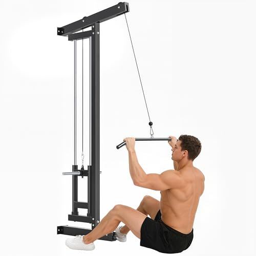 SPORTNOW Appareil de musculation mural, station de traction, station de musculation multifonction, poulie haute et basse, 2 poulies, barre de traction entraînement domicile, fitness, gym, maison, noir