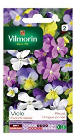 Vilmorin - Sachet graines Viola Cornuta variée