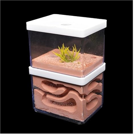 MOBAAK Hormiguero Granja De Hormigas Granja De Hormigas De Yeso, Nido De Hormiga Grande Ecológico Natural, Taller De Castillo para Insectos, Hormiguero para Mascotas Hormiguero para Adulto(16cm)
