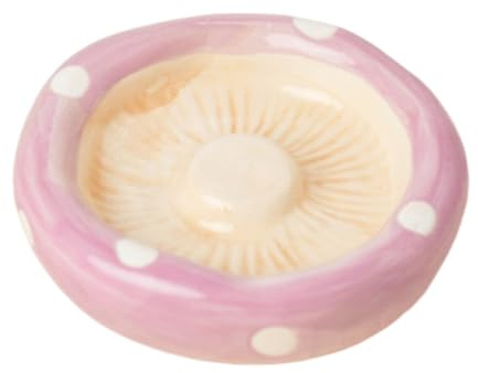 FJMQHU Ciotola per Cibo da Interno in Ceramica per Criceti, per Piccoli Animali E Ratti