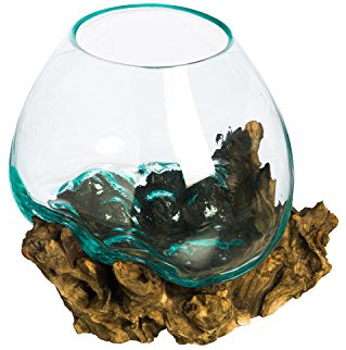 Cape Craftsmen 10 Hand-Blown Blue Tinted Bubble Glass On Natural Teak Driftwood Terrarium Kit | Home Décor Indoor Planter with Stand | Pot for Succulent and Plants