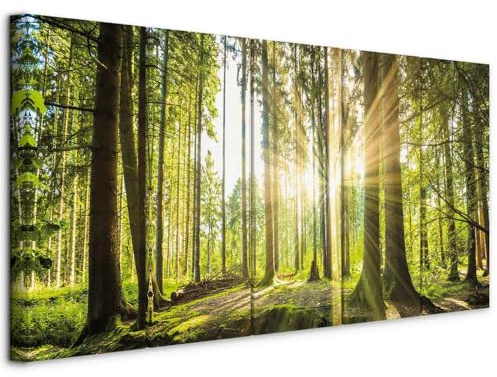 murando - Quadro Acustico Foresta 5 pezzi schiuma acustica Quadri Moderni Grandi - Camera da Letto Matrimoniale - Stampa su Tela - Pannelli Fonoassorbenti Decorativi - Fonoassorbente