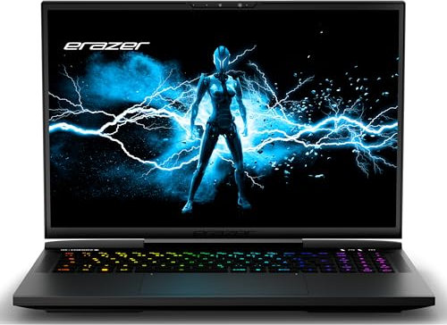 ERAZER Beast X40 43,2cm (17 Zoll 240Hz) QHD+ Gaming Laptop (Intel Core i9-14900HX, 32GB DDR5 RAM, 2TB SSD, GeForce RTX 4090 16GB GDDR6, Win 11 Home)