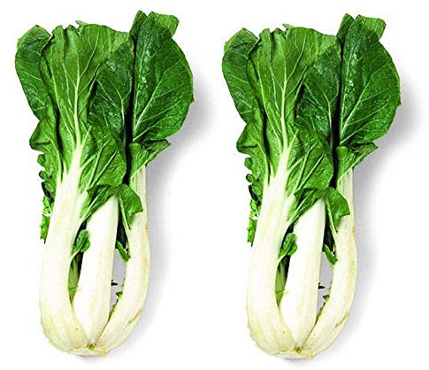 Hok Tau Pak Choi - Can be Planted All Year Round Delicious Crispy Texture (50 - Seeds)