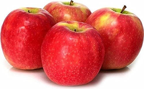 Manzano Pink Lady® Maceta de 6 litros con altura aprox. de 1,30 metros.