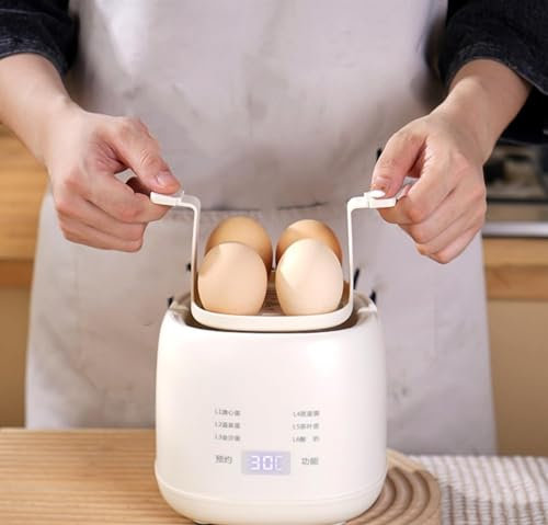 ZJFJMBD Cuiseur à œufs Intelligent – Chaudière à œufs électrique entièrement Automatique pour œufs cuits à la Vapeur, durs et Mous – Mini cuiseur à œufs Rapide